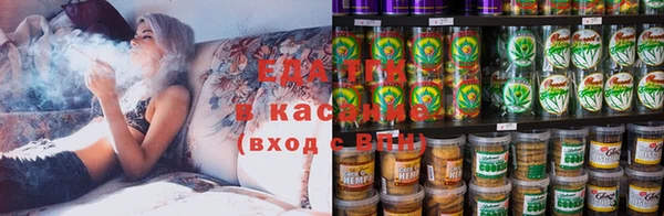 спиды Ельня