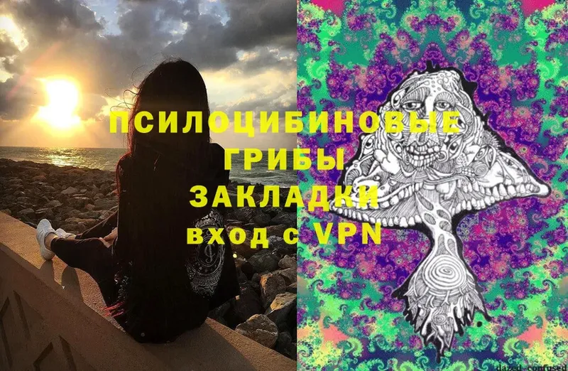 Галлюциногенные грибы MAGIC MUSHROOMS  MEGA как зайти  Лениногорск 